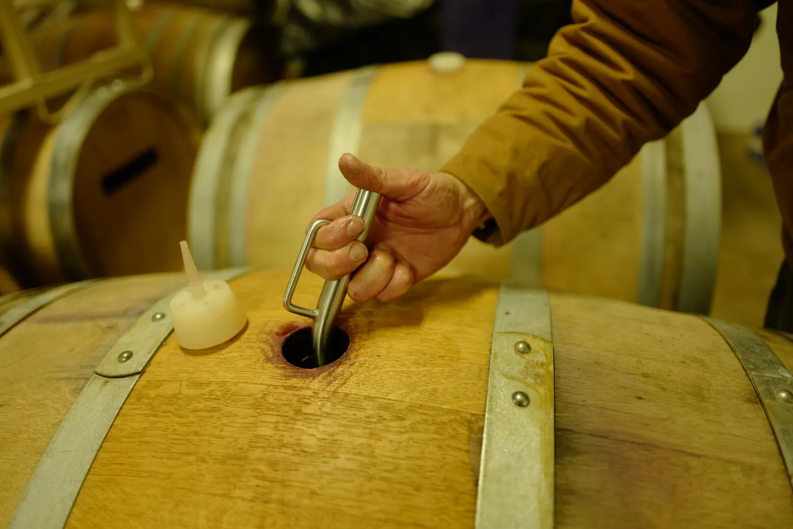 Vista Grande Vineyard, Chehalem Mountains