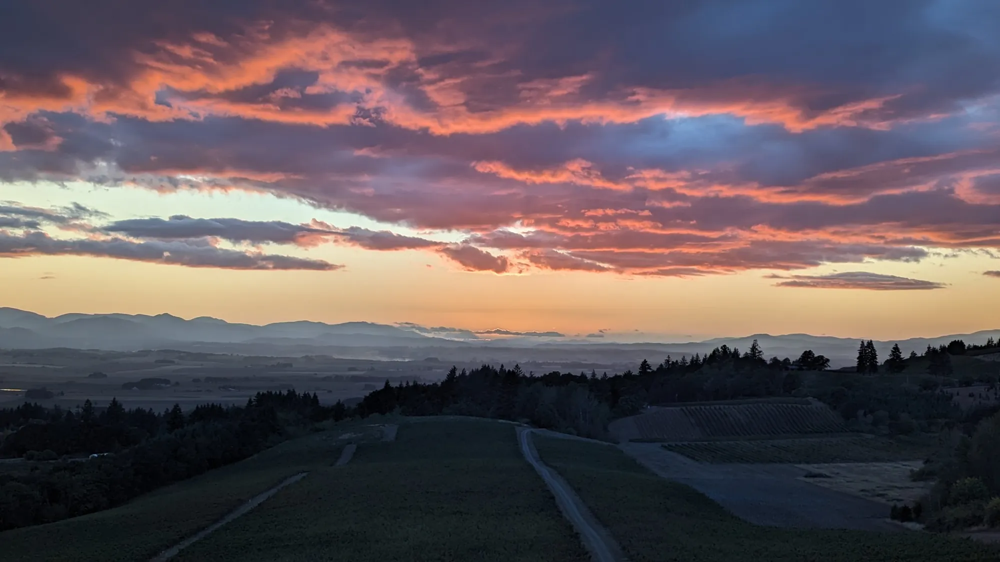Sunset over Temperance Hill Vineyard, Eola-Amity Hills
